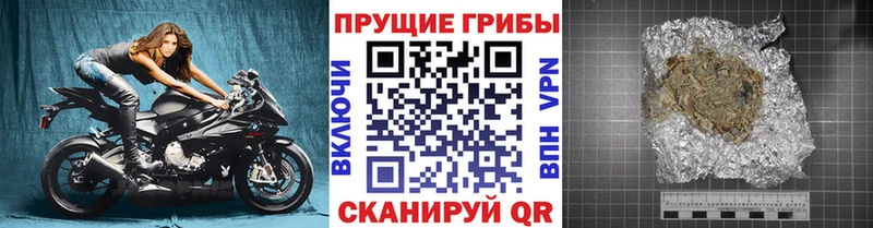 Галлюциногенные грибы Psilocybine cubensis  где найти   Калачинск 